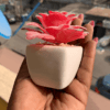 Flower Deco