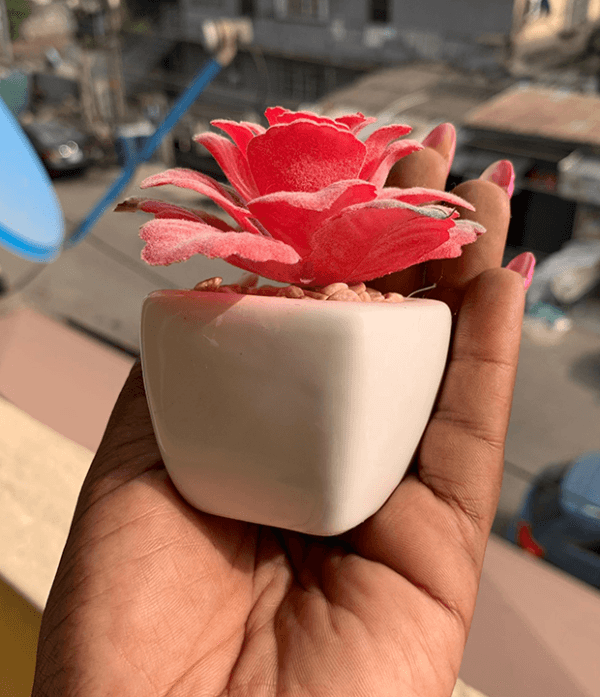 Flower Deco